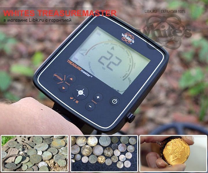 Металлоискатель Whites TreasureMaster