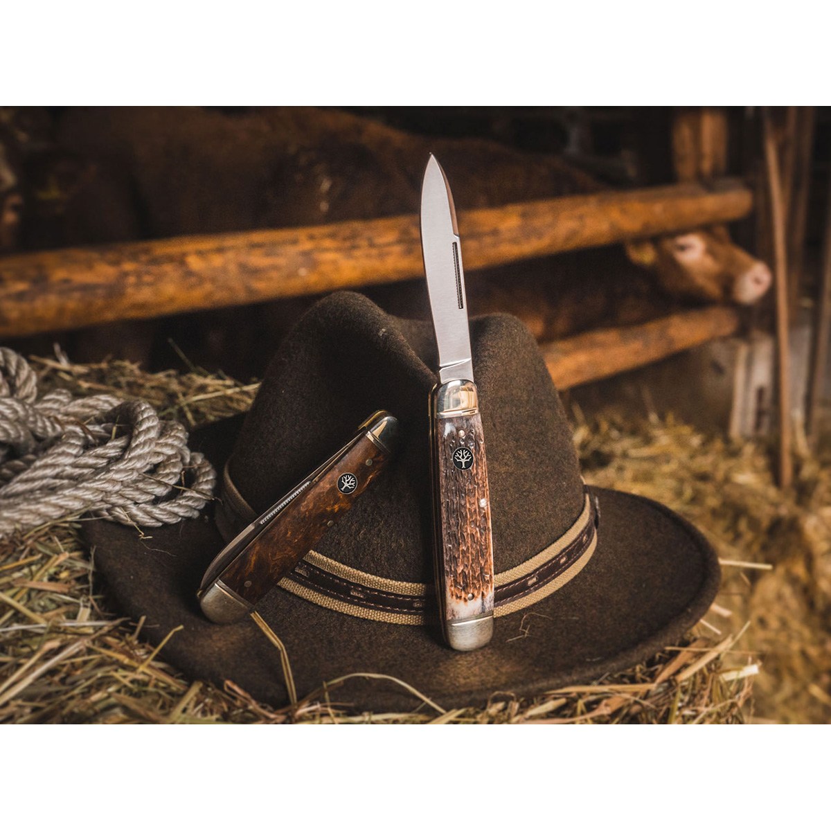 Нож Boker 110910 Cattle Knife Curly Birch фото 5